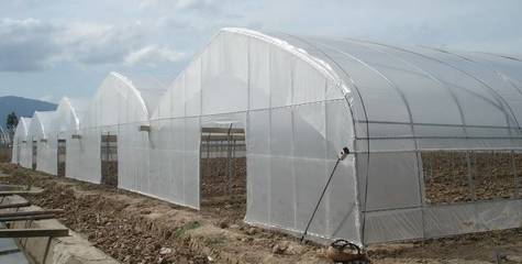 湖南連棟薄膜大棚建設 科學選材與高效施工全解析