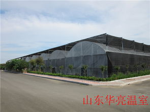 智能薄膜溫室 現代化農業的優選方案——以山東設計為例